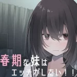 Shishun ki na imouto wa H ga shitai!! RJ01100250 Save Data