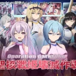 Operation dark side: seikakusen hime kaimetsu sakusen RJ01150544 Save Data