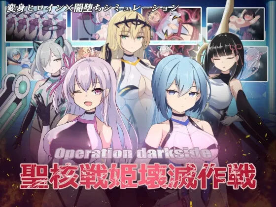 Operation dark side: seikakusen hime kaimetsu sakusen RJ01150544 Save Data