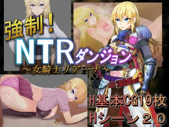 Save Data NTR dungeon – Rihanna, a female knight (RJ315828)