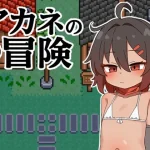 Save Data The Adventures of Akane (RJ01396599)